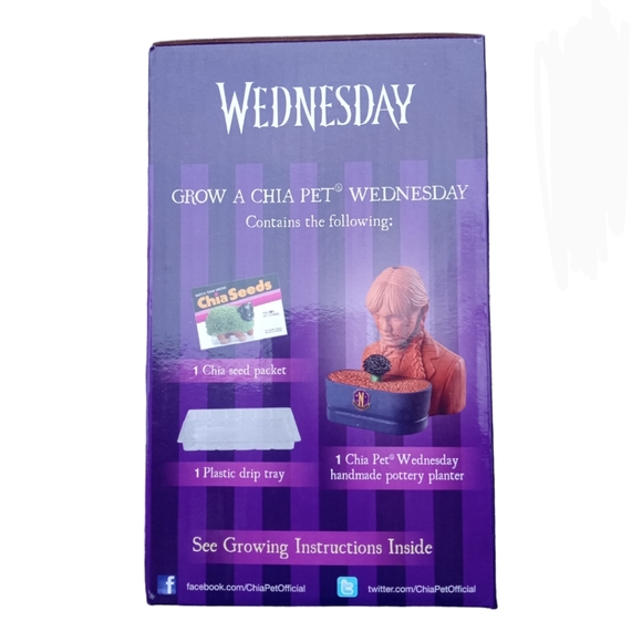 NIB Wednesday Chia Pet Handmade Decorative Planter + FREE GIFT - Picture 2 of 5